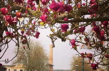 Une Saint-Valentin romantique en Grand Châtellerault