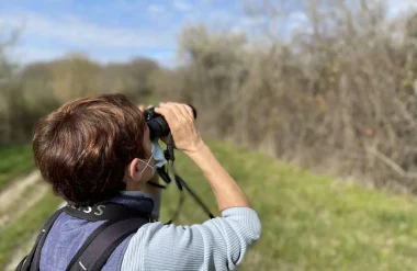 J’ai observé les oiseaux : à Coussay-les-Bois 1/2