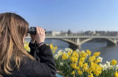 J’ai observé les oiseaux : à Châtellerault 2/2